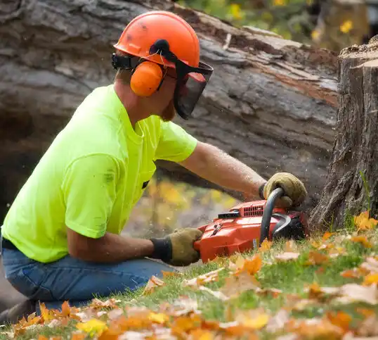 tree services Gibbon